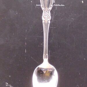 Oneida Community Stainless Steel Plantation pattern table spoon floral 1990s